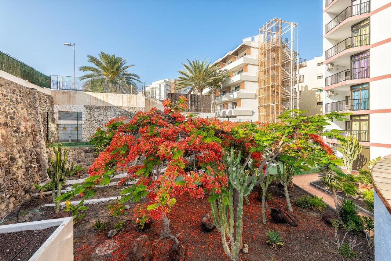 Appartement Pulpo Amarillo à Playa del Inglés Extérieur photo